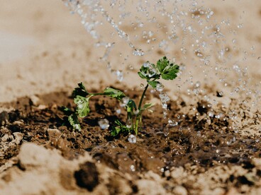 IoT in agriculture makes farming smarter, more efficient, and sustainable by connecting sensors, devices, and machinery to provide real-time insights and automation