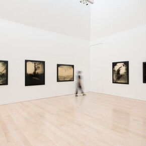 Sally Mann. Courtesy of Gagosian