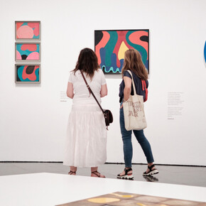 Mari Chordà, ... And many other things, exhibition view. Courtesy of Museu d’Art Contemporani de Barcelona