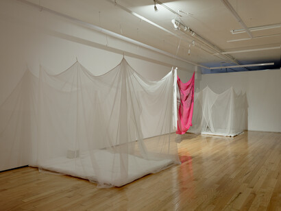 Hồng-Ân Trương, If you can hear the sound of my voice, clap once, exhibition view. Courtesy of island Gallery