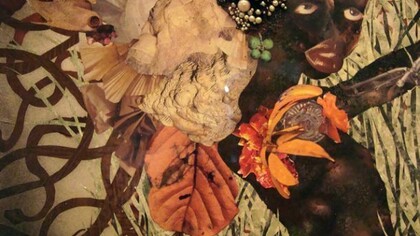 Wangechi Mutu. 'A Fantastic Journey'