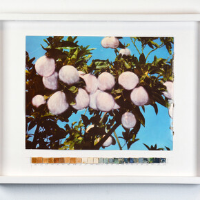 Keren Benbenisty, Tristeza I, 2024. Courtesy of the artist and Patron Gallery