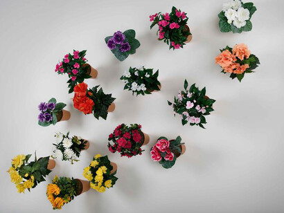 Still Life. Courtesy of Museion