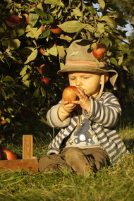 A child eating an apple © Steffen Sameiske, 2013