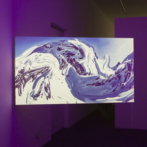 Towards the last Unicorn. Courtesy of 55SP	
