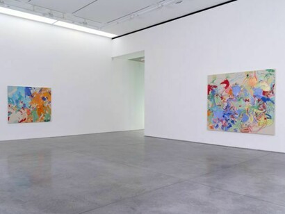 Installation Views. Courtesy 303 Gallery, New York