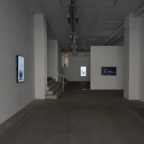 Robert Wilson, Animals, exhibition view. Courtesy of Winston Wächter Fine Art