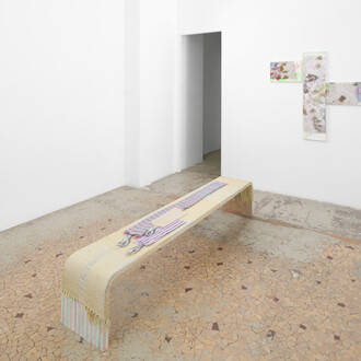 Artistes divers, Lick the toad, vue d'exposition. Avec l'aimable autorisation de la Galerie Anne Barrault