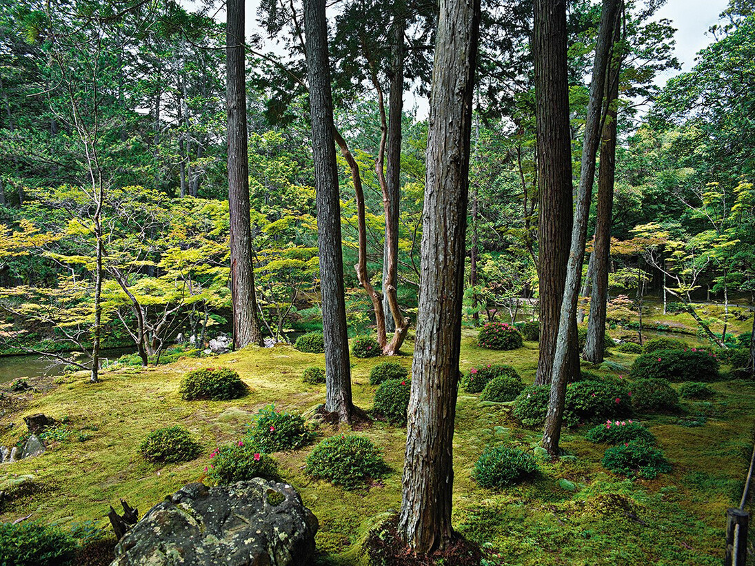 Saihō-ji 13, summer, Southwest Kyoto, 30 May 2009 (13:00–15:00). ©Jacqueline Hassink / Courtesy of Benrubi Gallery, NYC