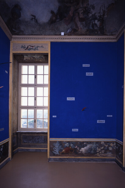 Collezione in mostra. Courtesy of Castello di Rivoli Museo d’Arte Contemporanea