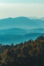 Raja's Seat, Madikeri