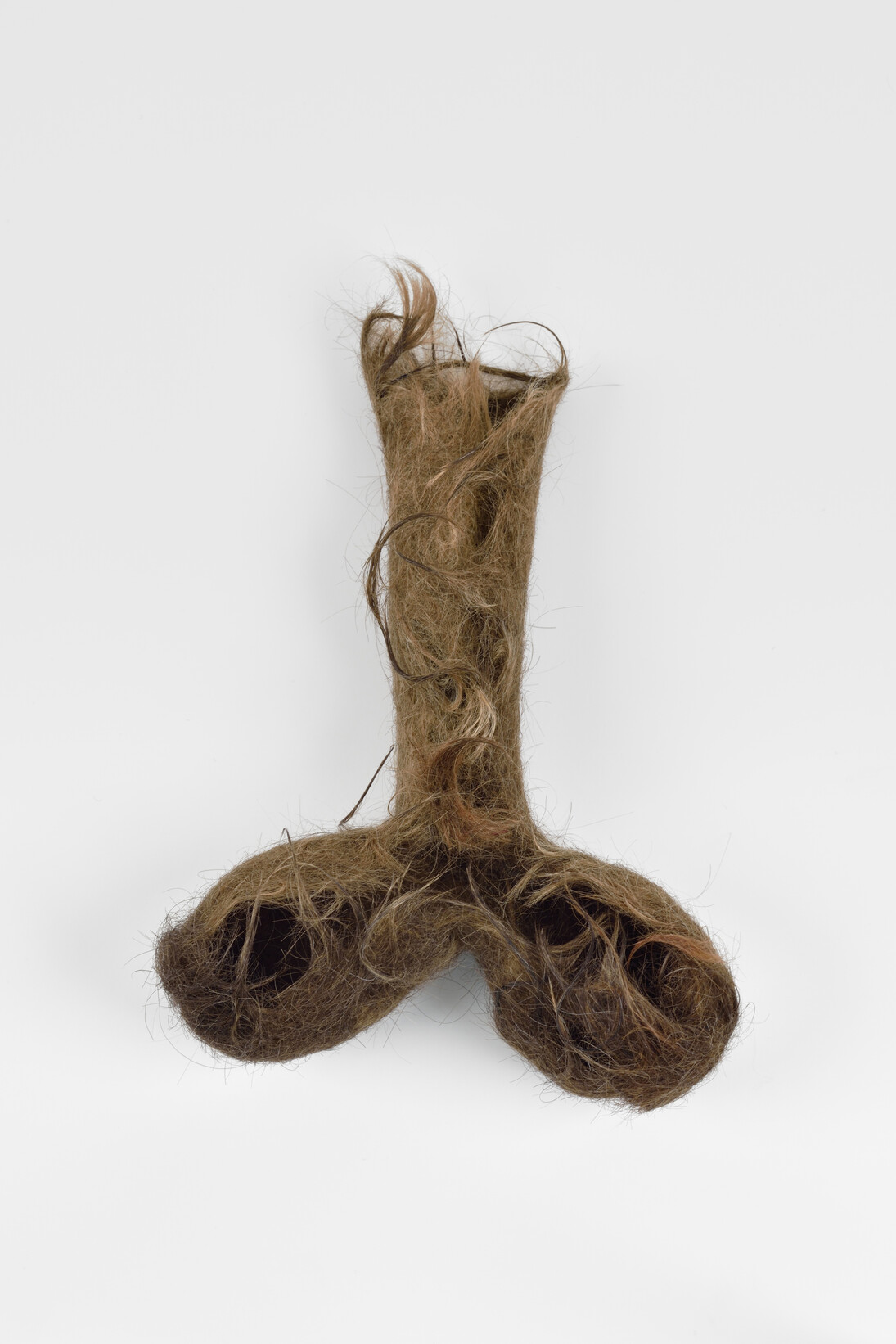 Chaussette d’homme aux cheveux de Bruxellois, 2005