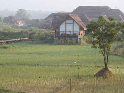 Chalets overlooking paddy fields © Gehan de Silva Wijeyeratne
