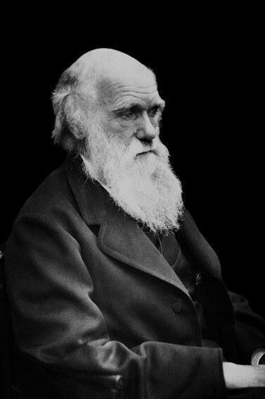 Charles Darwin, biólogo de orientação naturalista, propõs a teoria da evolução em continuidade aos estudos de Alfred Wallace