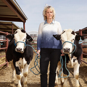 Aleksandra Domanovic, Bullen ohne Hörner: Alison mit den Bullen, 2016, Chromogendruck auf Diasec, Auflage 1/3. Courtesy die Künstlerin und Tanya Leighton, Berlin © Foto: die Künstlerin Fotografen: Aleksandra Domanovic und Spencer Lowell