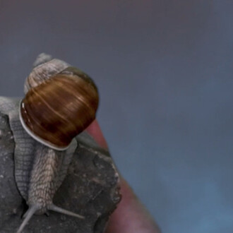 Between Bodies. Courtesy of Henry Art Gallery