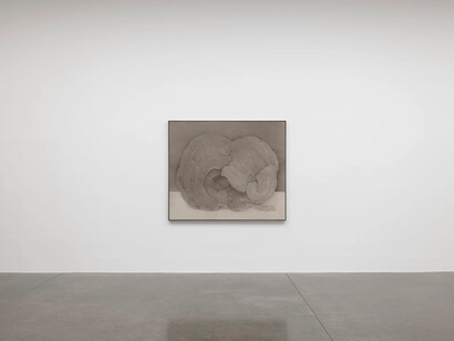 Shao Fan, Refrain ( 复沓), exhibition view. Courtesy of White Cube