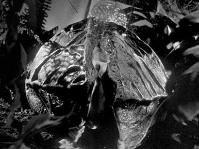 Fotograma del filme «Invasion of the Body Snatchers» dirigido por Don Siegel
