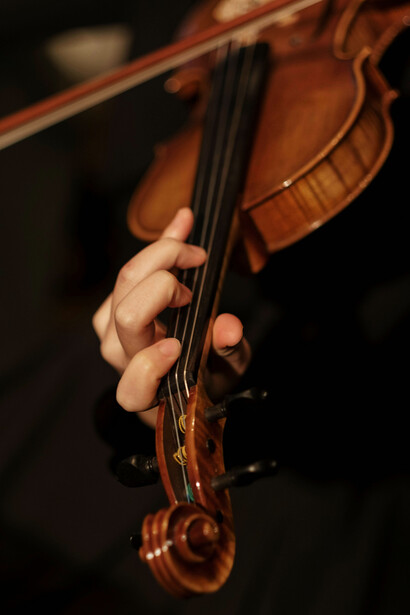 La grandeza de una orquesta tocando en perfecta sinfonía encarna la belleza aterradora de lo sublime: una magnificencia que nos sobrecoge y, al mismo tiempo, nos eleva