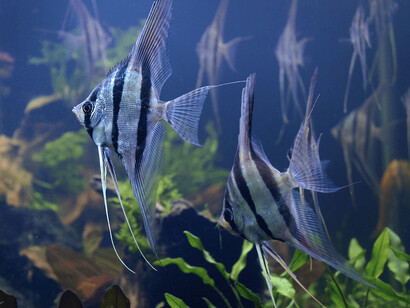 Colombia, país de agua. Courtesy of Parque Explora