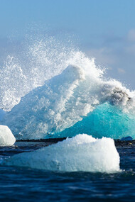 Global warming has changed our world