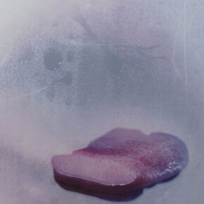 Spray On, Exhibition view. Courtesy of Carolina Nitsch