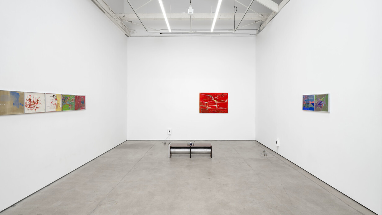 Molly Rose Lieberman, My paradise, exhibition view. Courtesy of Matthew Brown Gallery