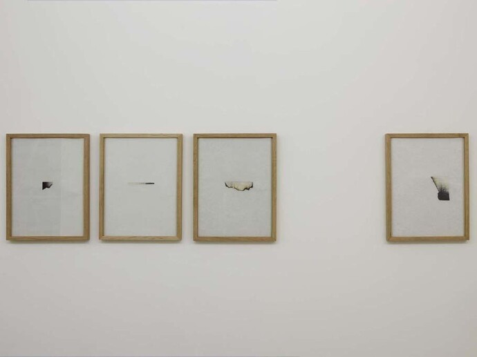 Sophie Ko Chkheidze, Waldgänger, 2013