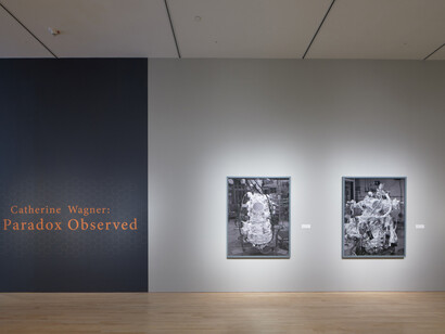 Catherine Wagner. Courtesy of San Jose Museum of Art