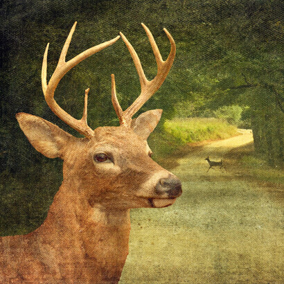 Dale Niles. Courtesy of Brickworks Gallery