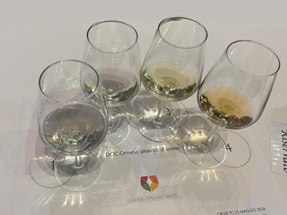 La nuova tipologia a 10 gradi alcolici interpreta il desiderio contemporaneo di vini più freschi, leggeri e immediati. Foto di Isabella Ceccarelli