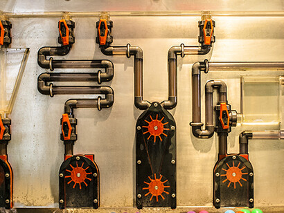 Buzzz! Courtesy of Copernicus Science Centre