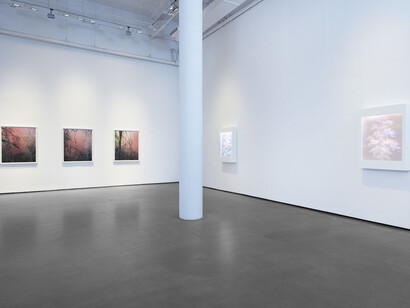 Lustre. Courtesy of Bryce Wolkowitz Gallery