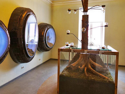 The world of insects, exhibition view. Courtesy of the Latvian National Museum of Natural History