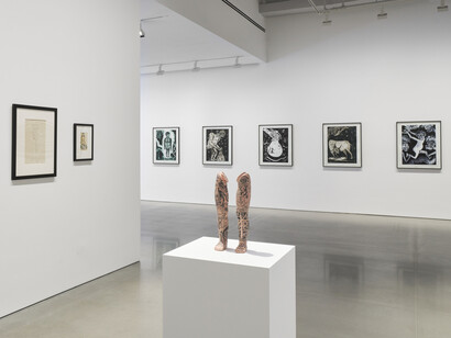 Dr. Lakra & Miguel Covarrubias, Contracorrientes (Countercurrents), exhibition view. Courtesy of kurimanzutto