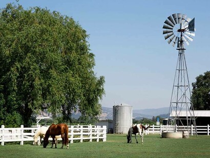 Cavalli in un ranch in Texas, Stati Uniti