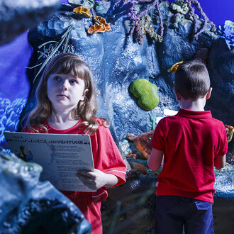 Your shipwreck adventure, exhibition view. Courtesy of Queensland Museum Tropics