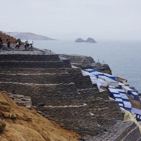 Dinh Q. Lê. The Colony. Courtesy of Museum Boijmans Van Beuningen 