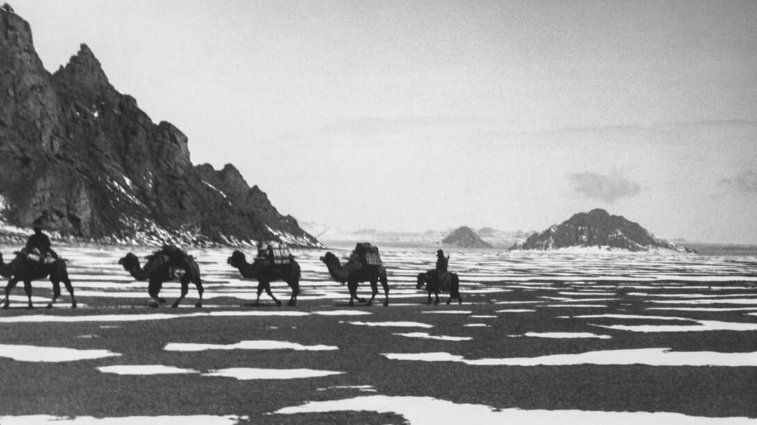Désert du Tsaïdam, 3000 m. Fin mai, mont Kitin Kara, dans la chaîne des Kuen Lun, 1935, Qinghai, République de Chine © Succession Ella Maillart et Photo Elysée, Lausanne