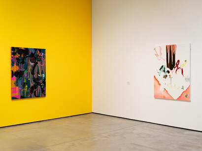 Fiona Rae, Vista, exhibition view. Courtesy of Es Baluard Museu d’Art Modern i Contemporani