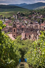View of Riquewihr from the Schoenenbourg, France