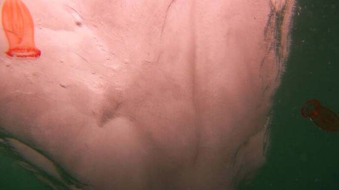 Fucking Beautiful. Courtesy of Magda Danysz Gallery