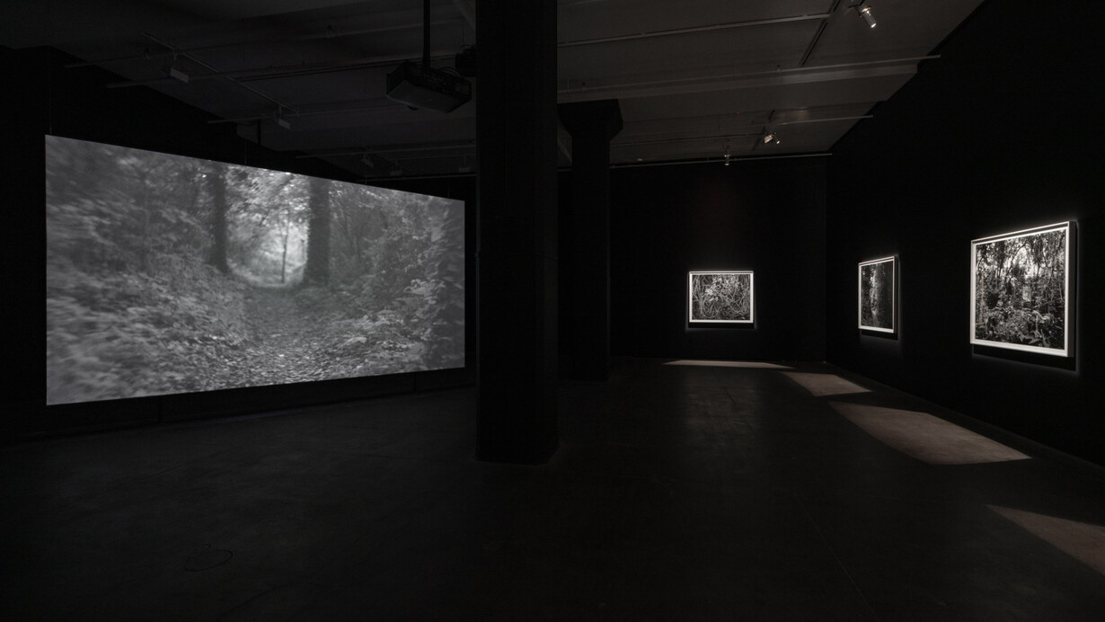 Dawoud Bey, Stony the road, exhibition view. Courtesy of Sean Kelly