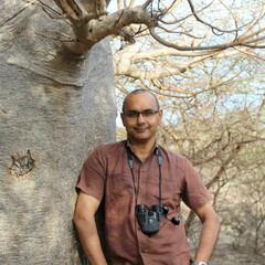 Gehan de Silva Wijeyeratne