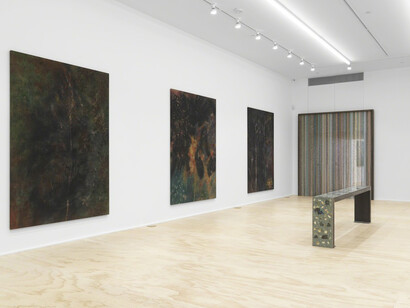 Sam Falls, Exhibition view. Courtesy of Eva Presenhuber