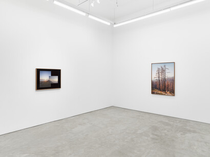 Elise Rasmussen, the beautiful, exhibition view. Courtesy of Night Gallery
