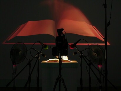 Nida Sinnokrot. Courtesy of carlier | gebauer