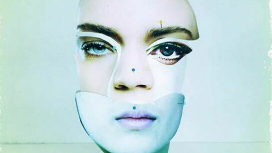 Harding Meyer, Features