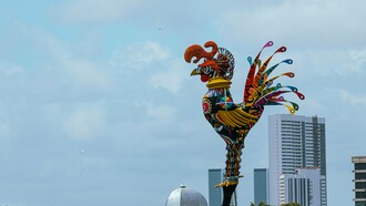 O Galo da Madrugada é considerado o maior bloco de Carnaval do mundo, e está registrado no Guinness Book desde 1984