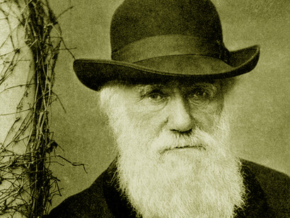 Darwin never lectured and he never personally participated in debates and discussions about evolution